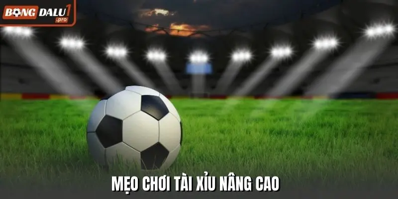 Mẹo chơi tài xỉu nâng cao