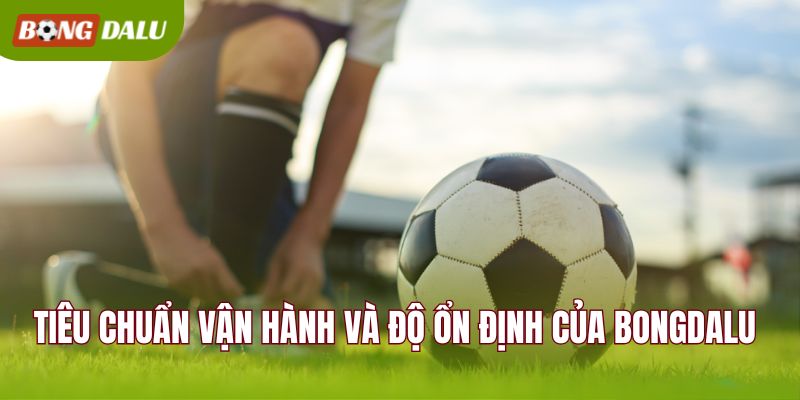 Tiêu chuẩn vận hành và độ ổn định của BONGDALU
